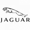 Jaguar.jpg