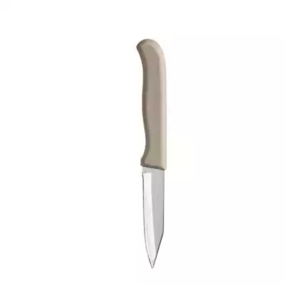 Nož za lupljenje 17 cm DENIS 8505
