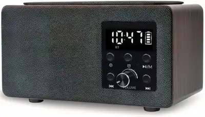 4v1 ura, budilka, zvočnik in radijski sprejemnik RDI910 WC