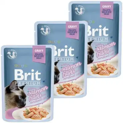 Hrana s fileji lososa v omaki za sterilizirane mačke