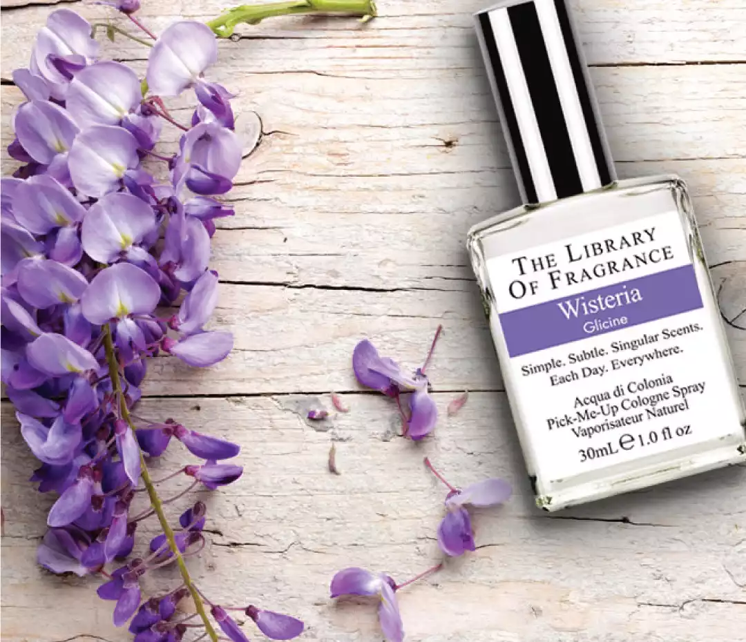  The Library Of Fragrance