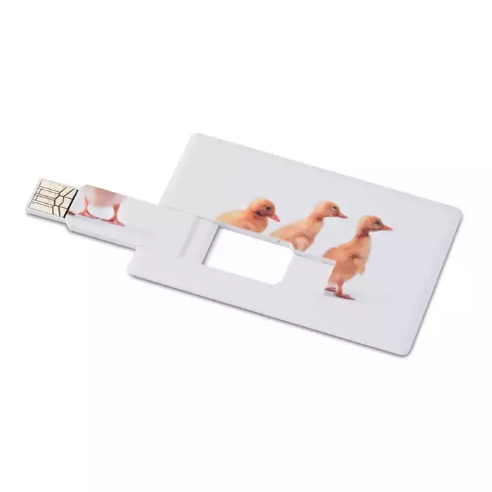 USB ključ v obliki kartice